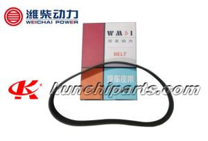 Energía perfecta u WEICHAI WD615 correa 612600060351 8PK800