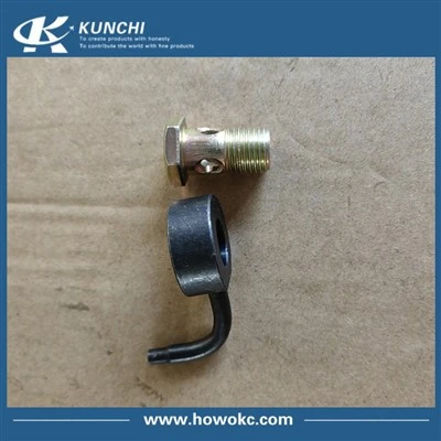 Sinotruk HOWO ইনজেকশন অগ্রভাগ VG1246010039 ফাঁপা বোল্ট 190003962621